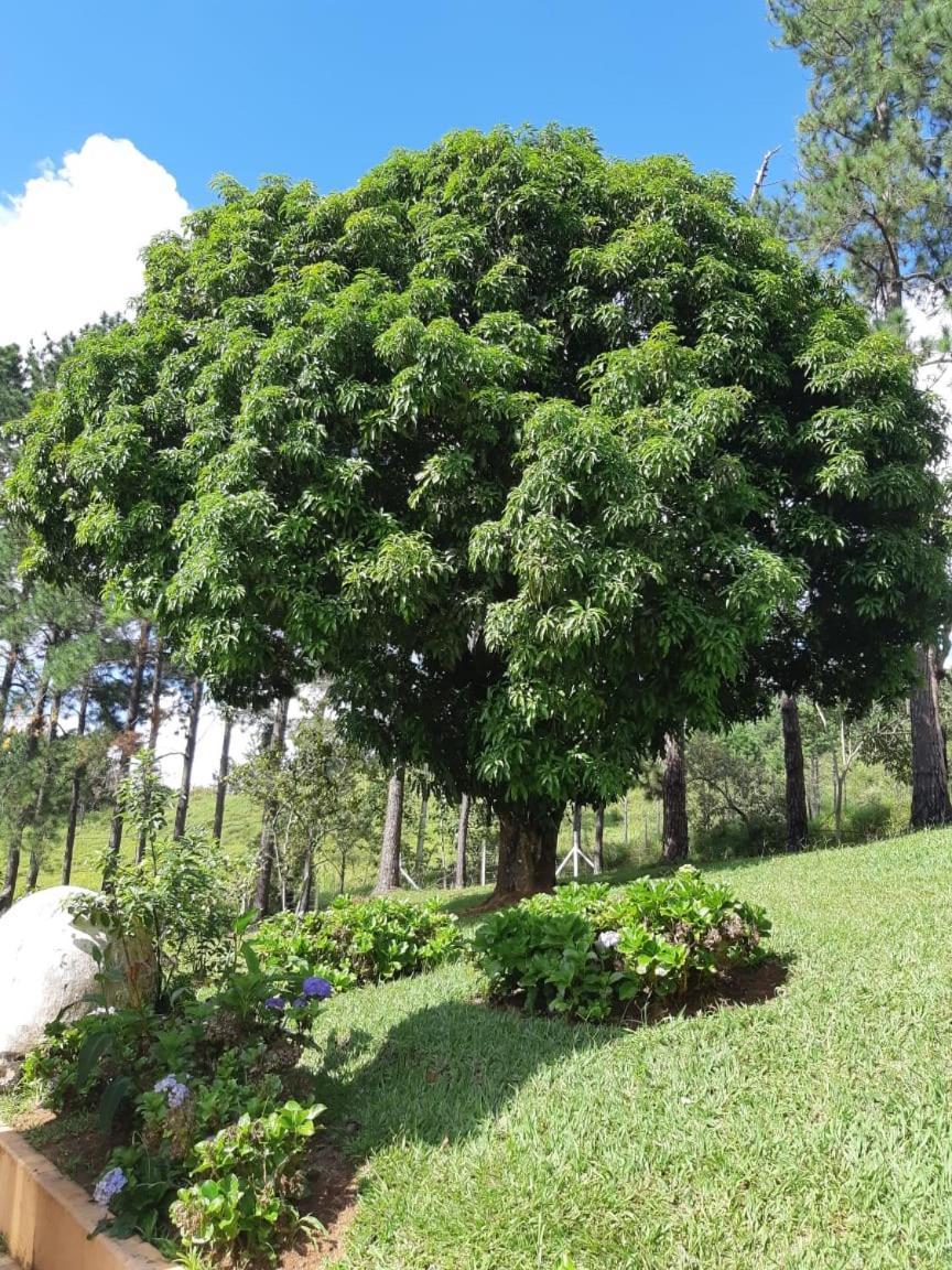 Recanto Das Borboletas São Roque Eksteriør bilde